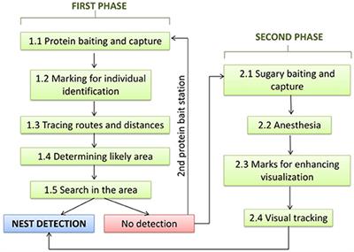 Method for Nest Detection of the Yellow-Legged Hornet in High Density Areas